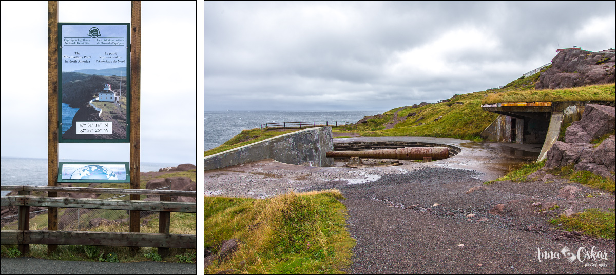 St. John's (II) - Terranova & Labrador: icebergs, puffins y balleneros vascos (20)