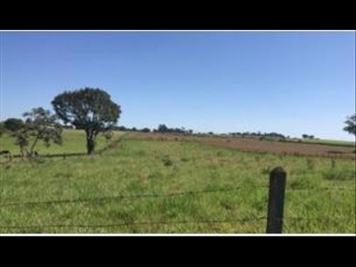 (25%) Fazenda, A.T. 04,6300 hectares