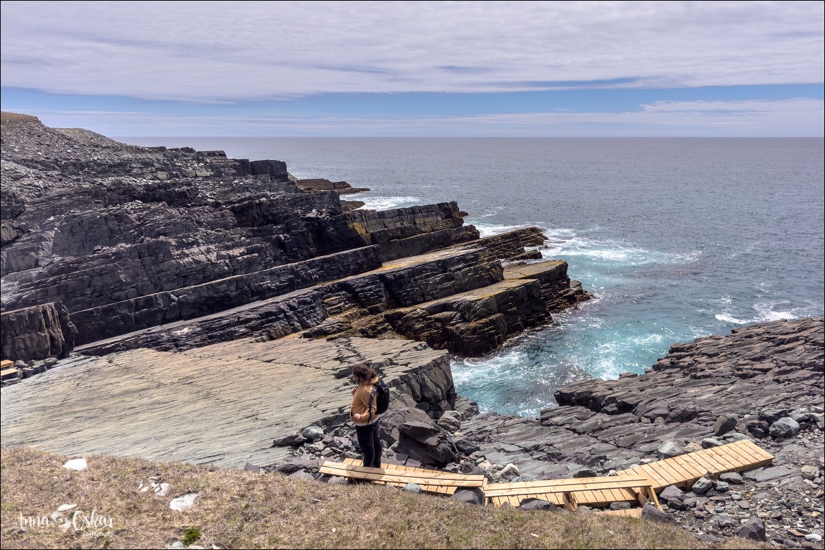 St. John's (I) - Terranova & Labrador: icebergs, puffins y balleneros vascos (11)
