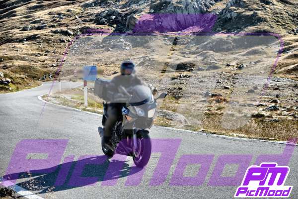 Passo Gavia