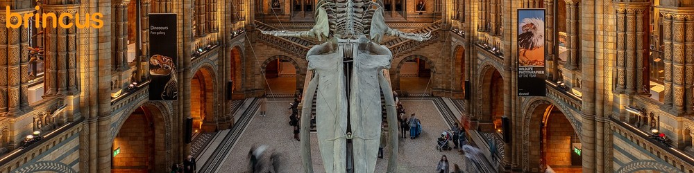 Mobile Image