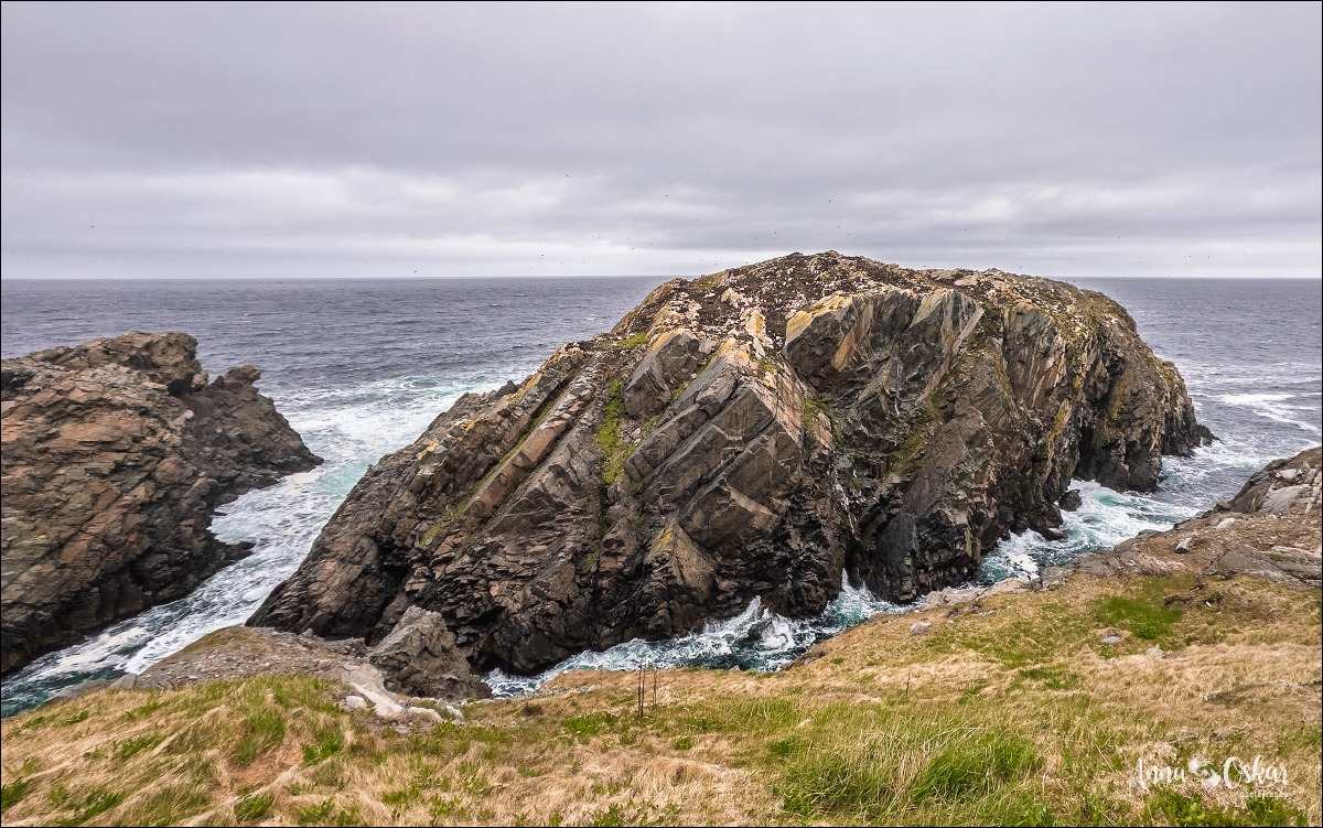 Península de Bonavista (III) - Terranova & Labrador: icebergs, puffins y balleneros vascos (7)