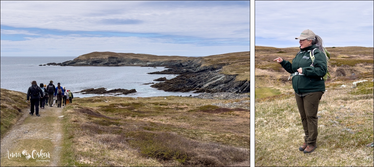 St. John's (I) - Terranova & Labrador: icebergs, puffins y balleneros vascos (9)