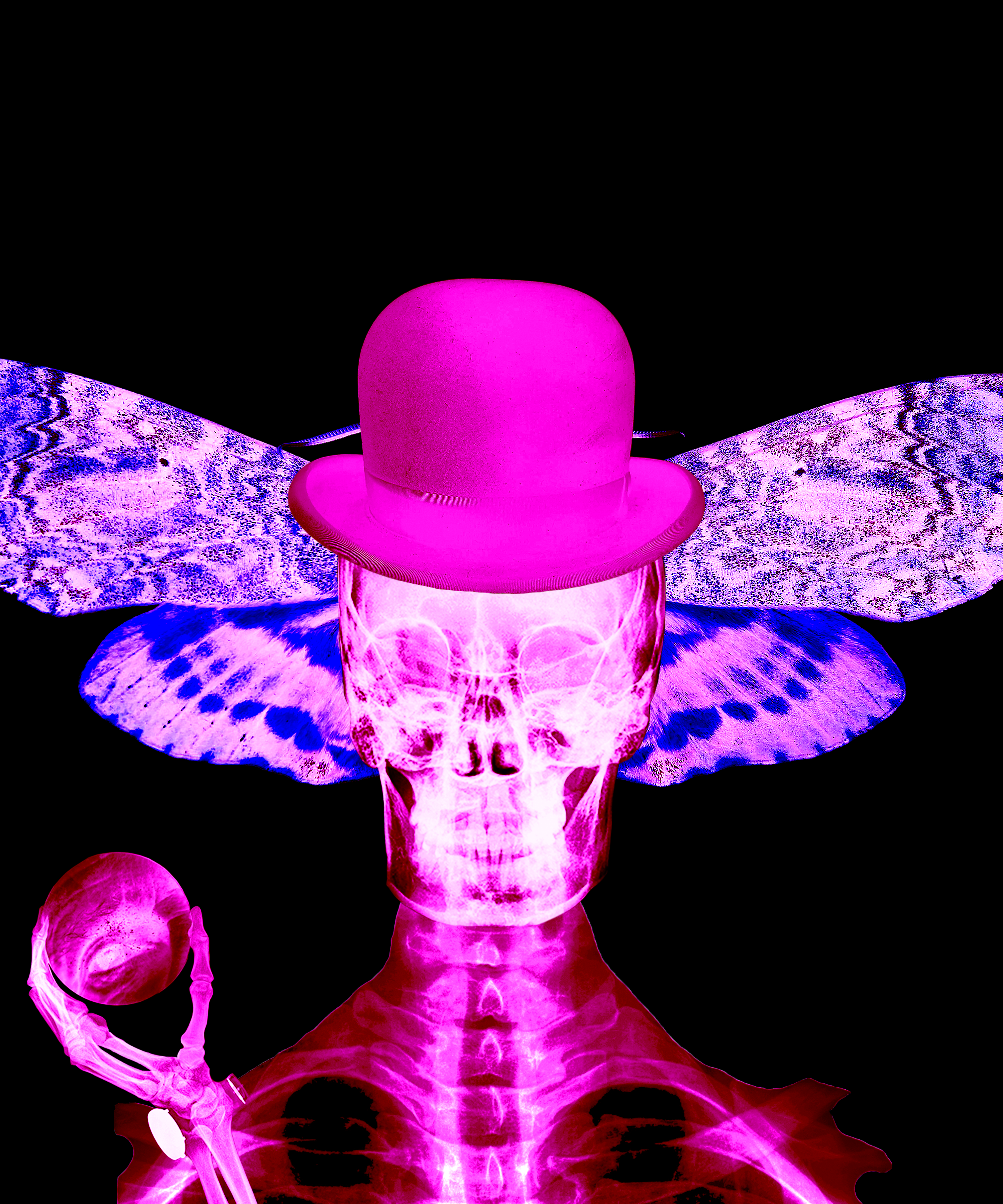 The Trophy 2