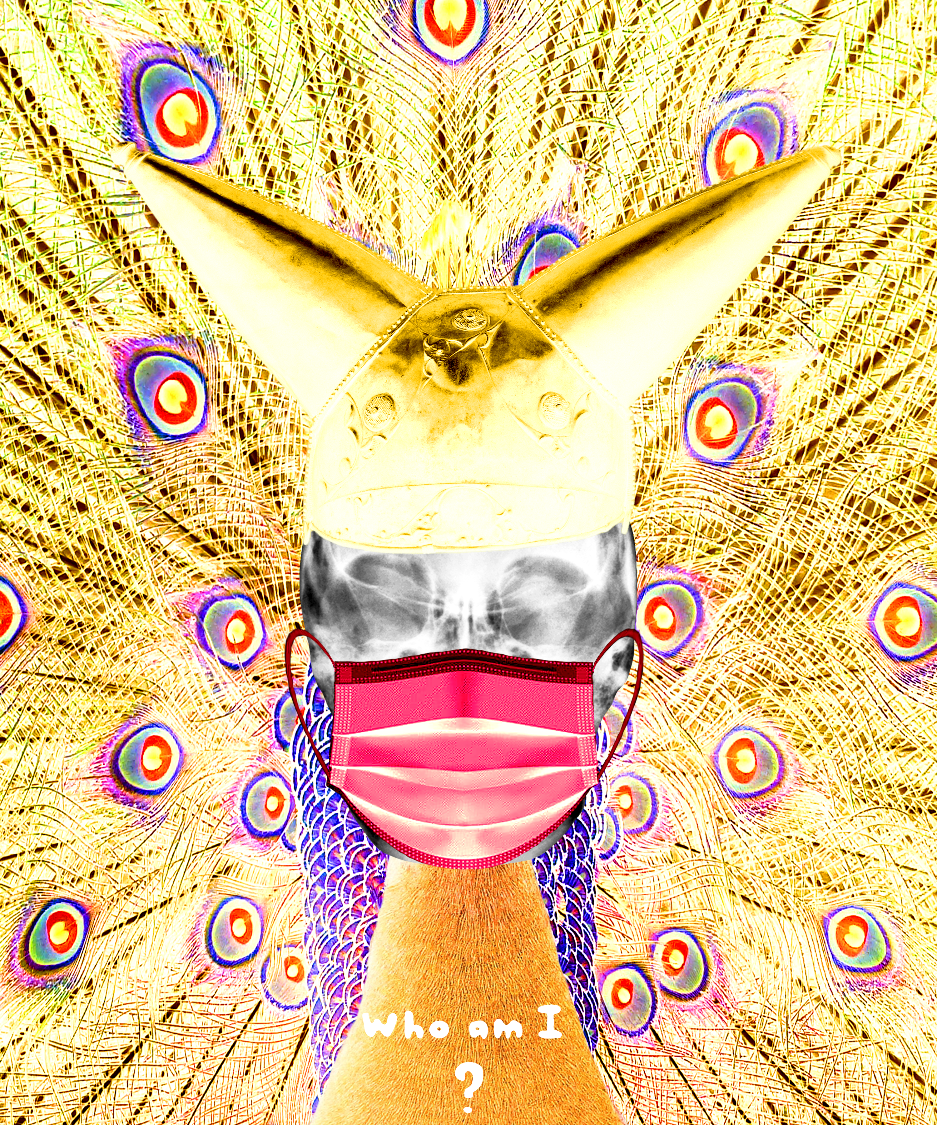 The Grandmother 1