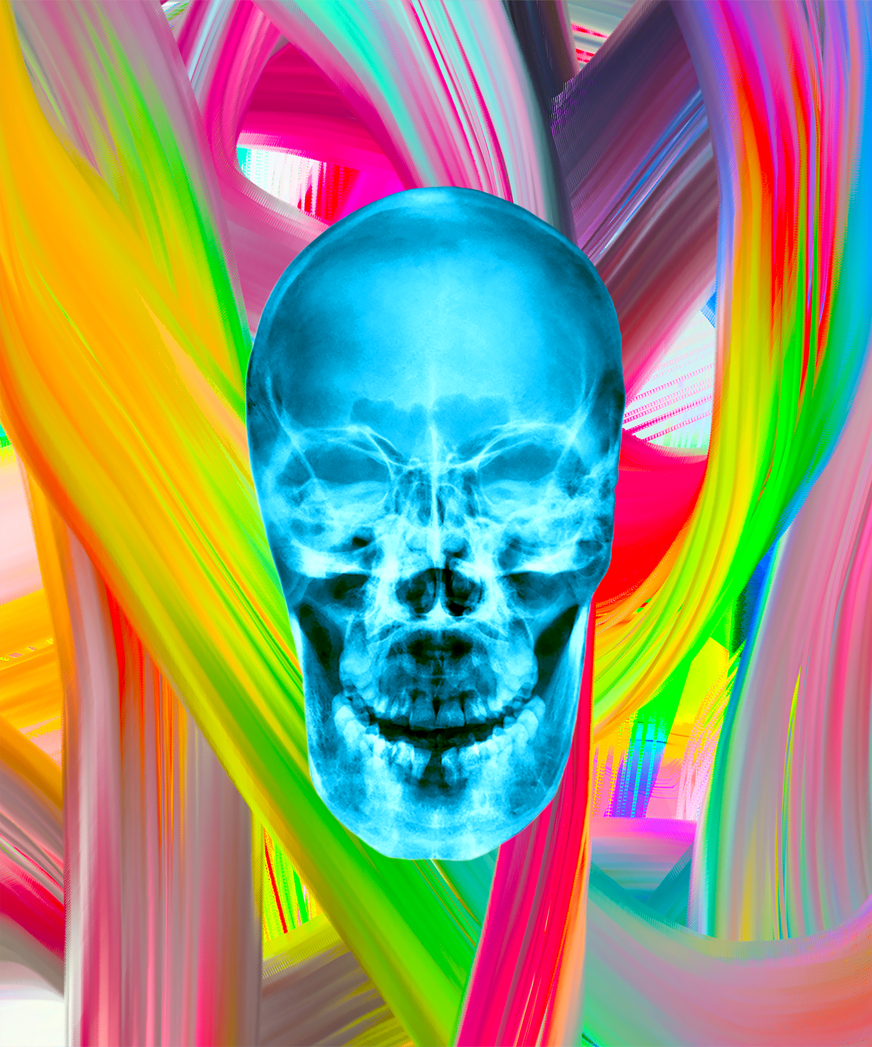 The Chief 7