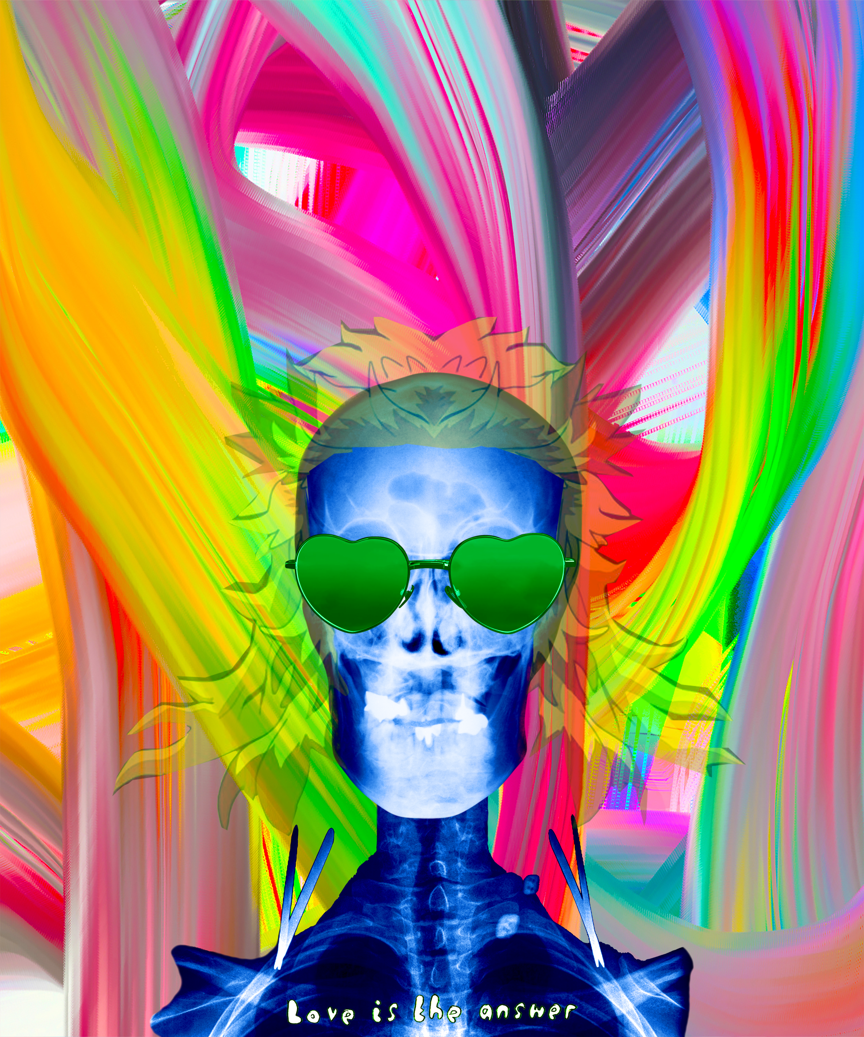 The Chameleon 2