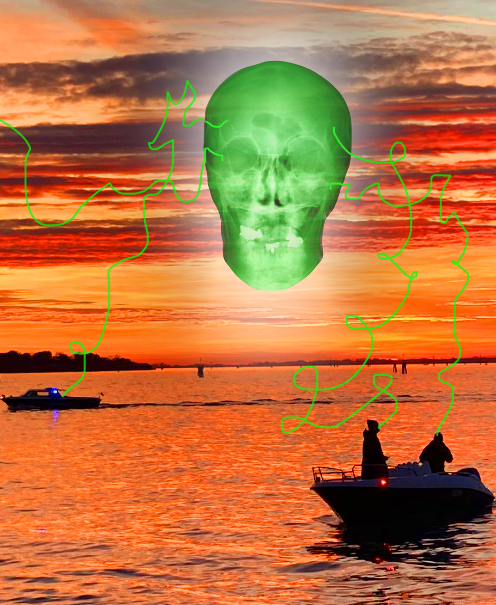 The Chameleon 8