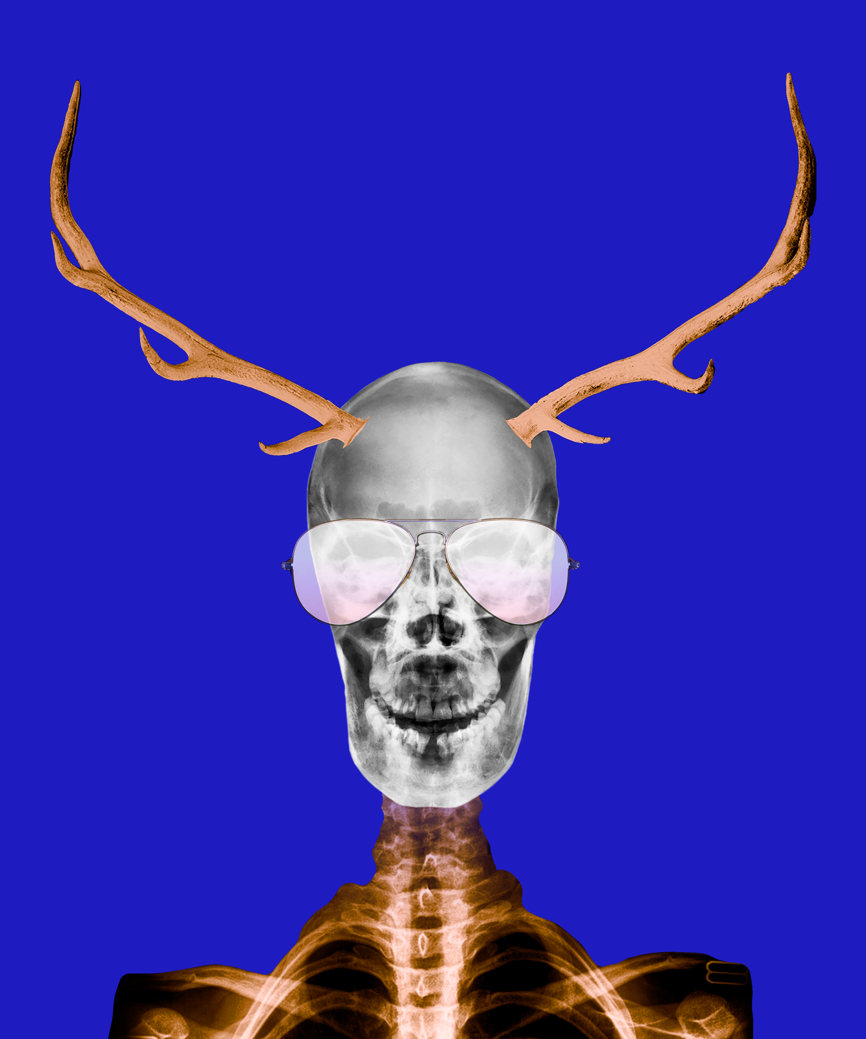 The Chief 1