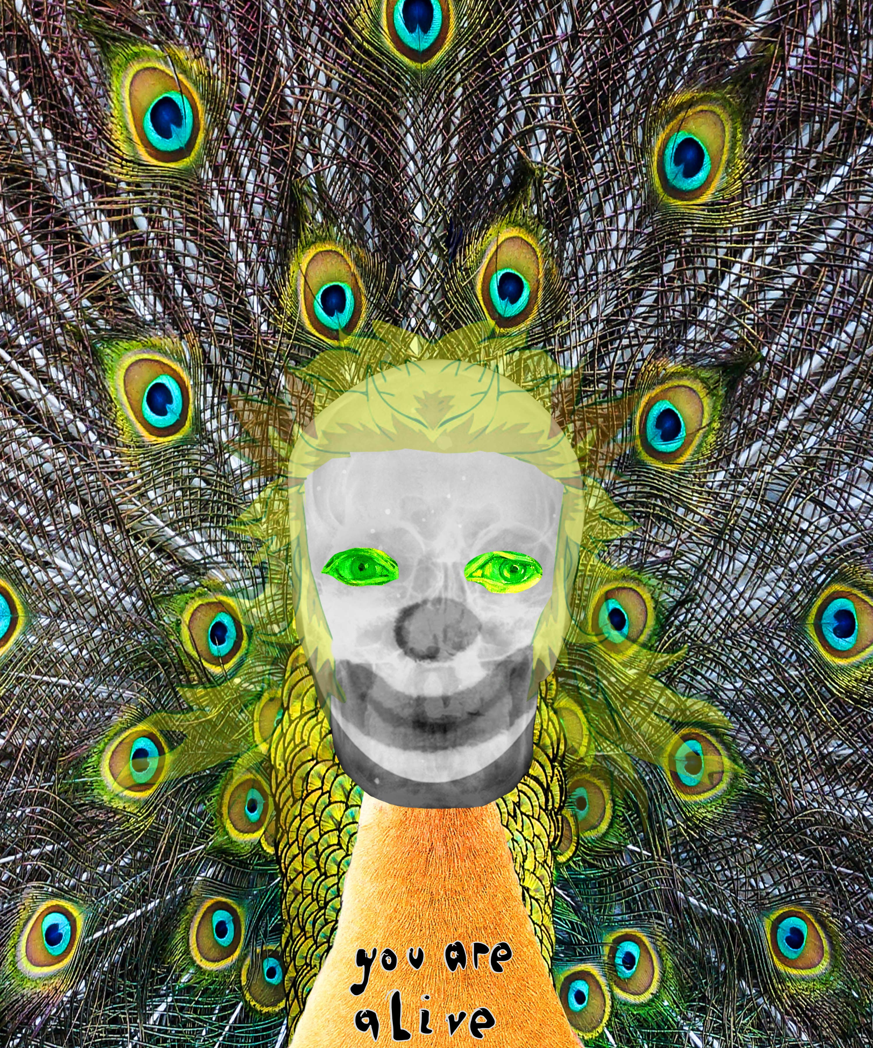 The Clown 4