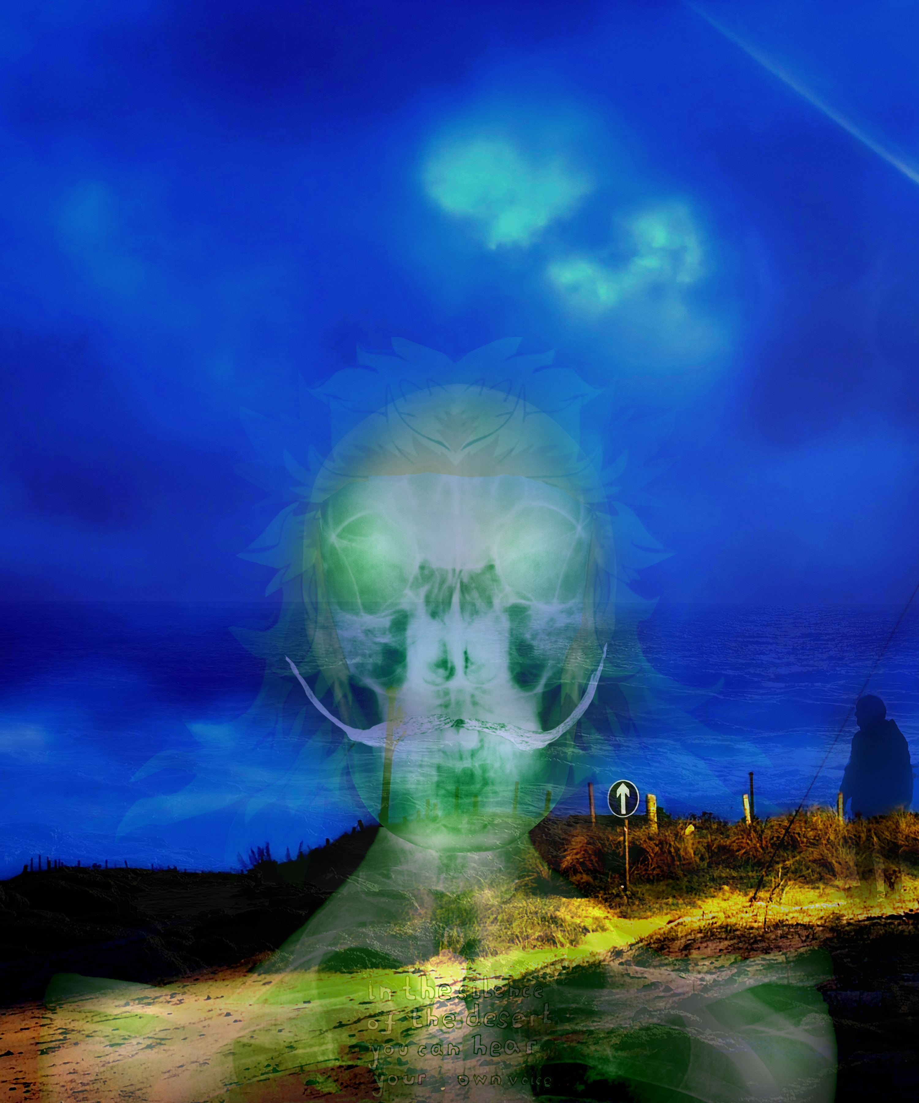 The Spiritual Teacher 7