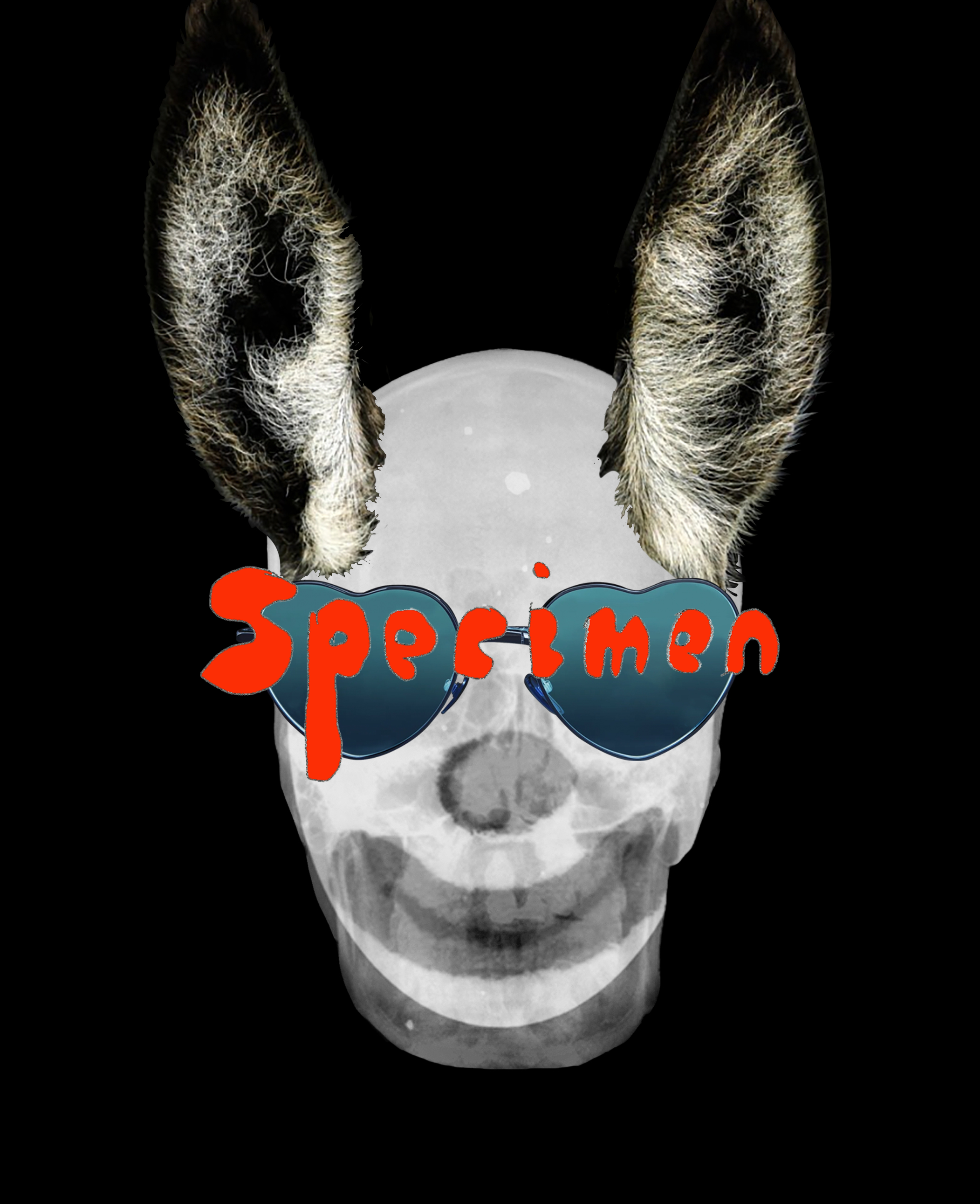 The Clown 15