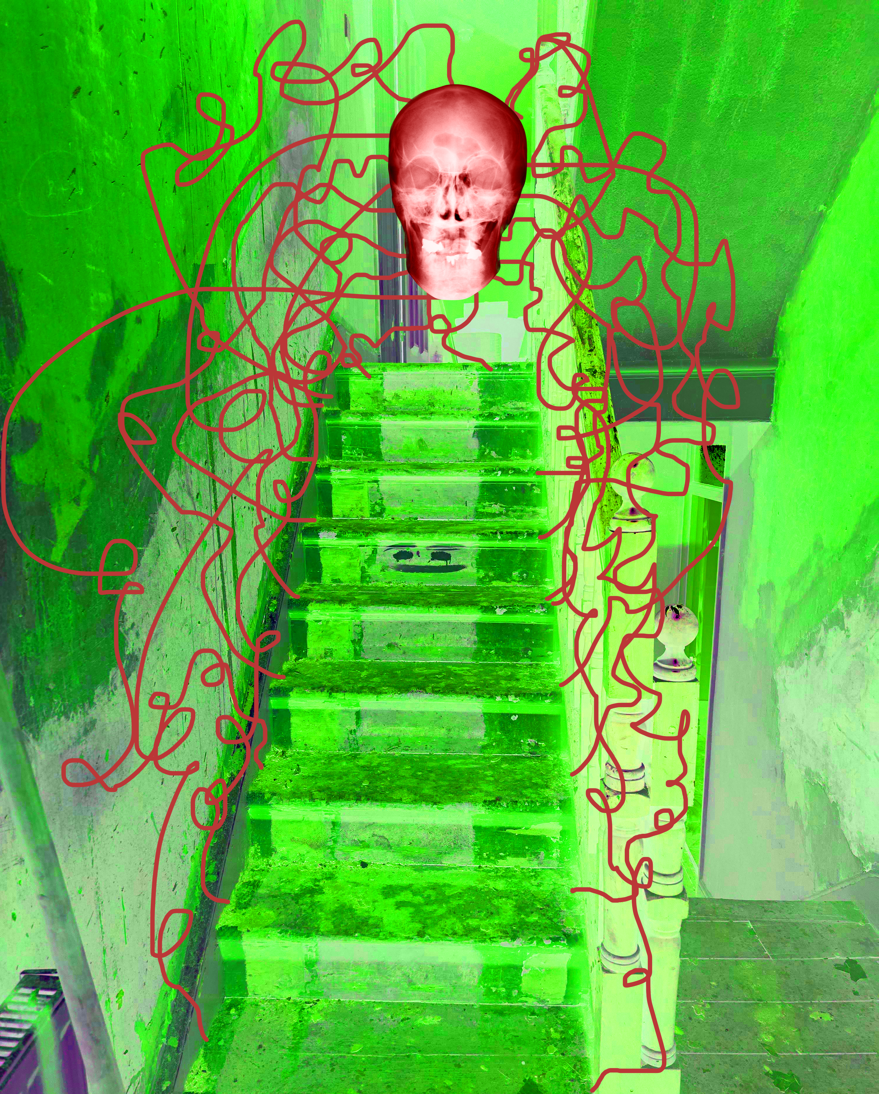 The Chameleon 7