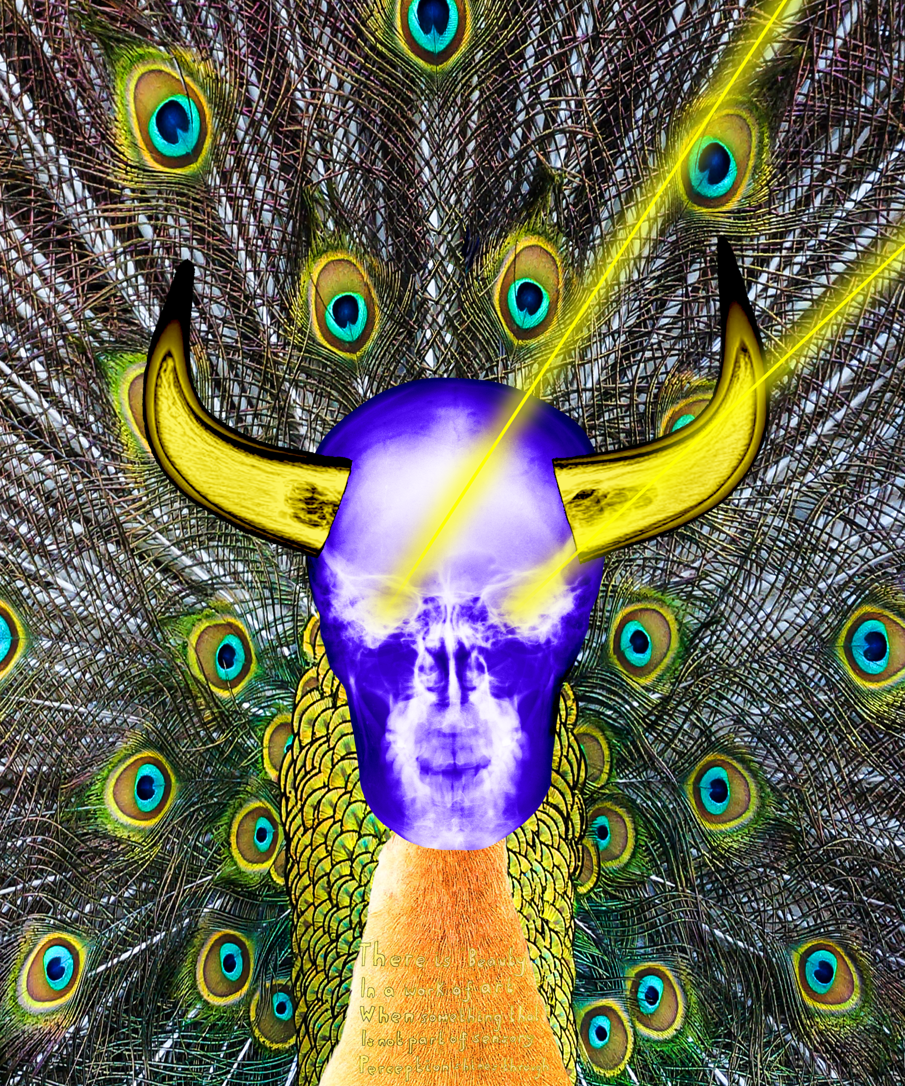 The Provocateur 4