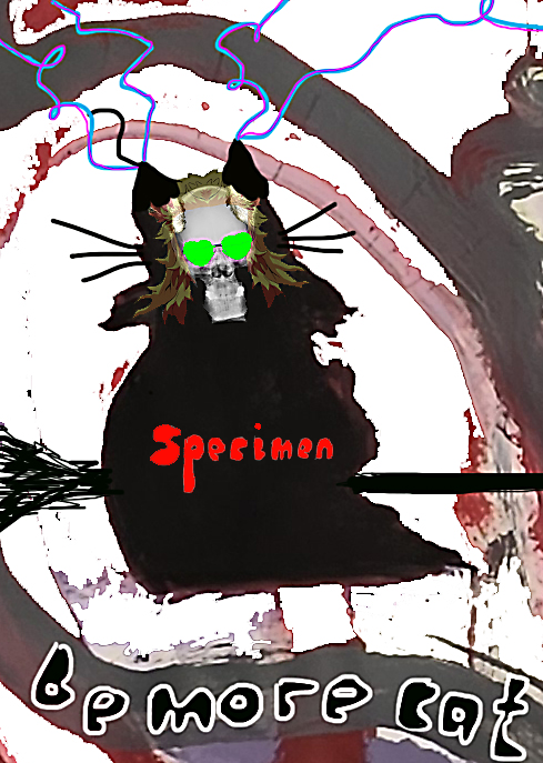 The Spy 12