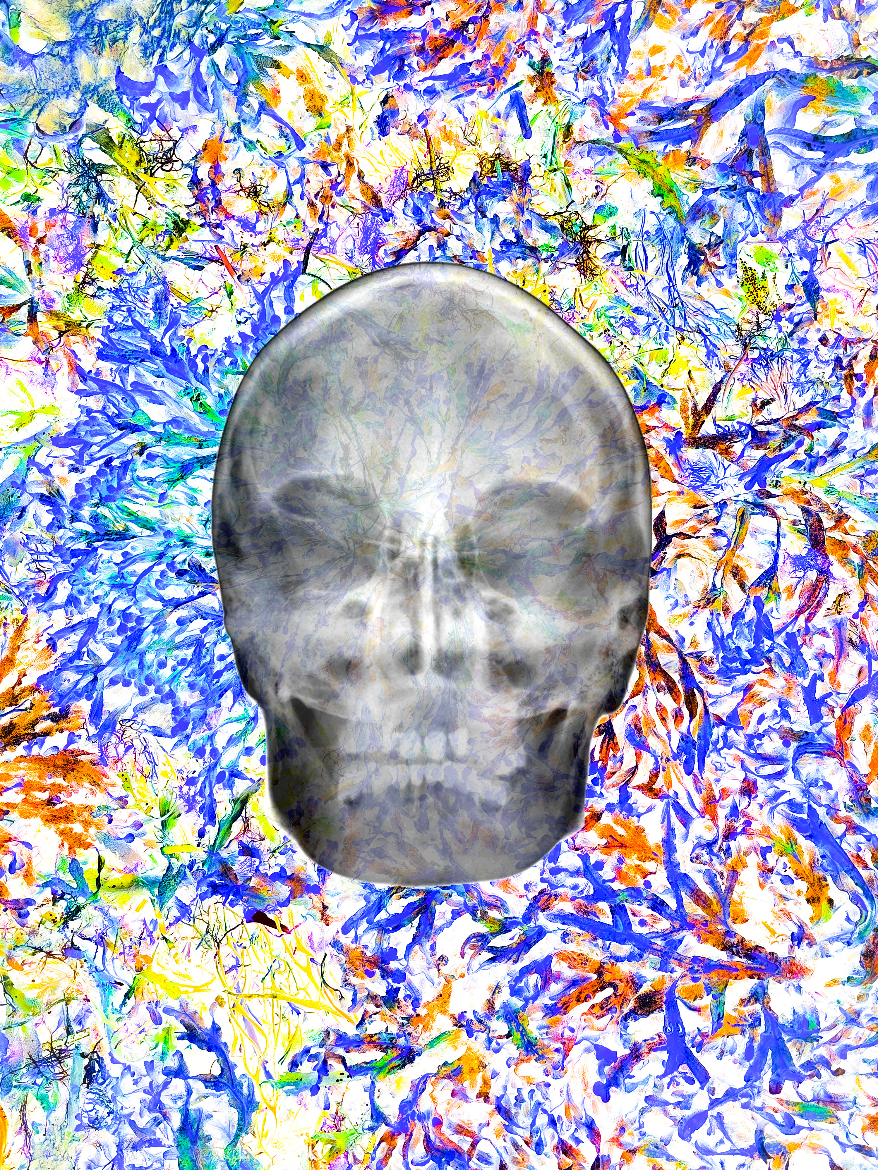 The Grandmother 6