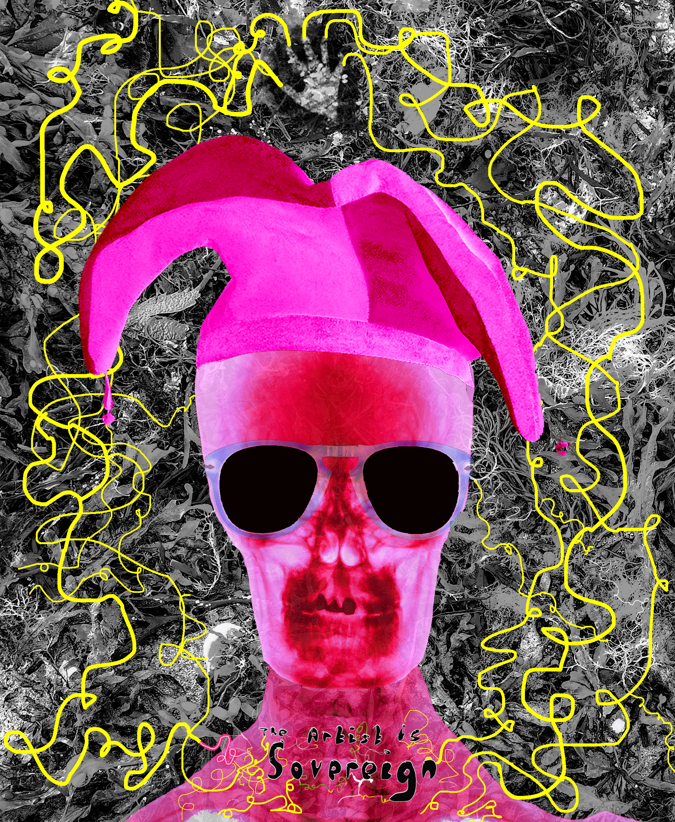 The Jester 5