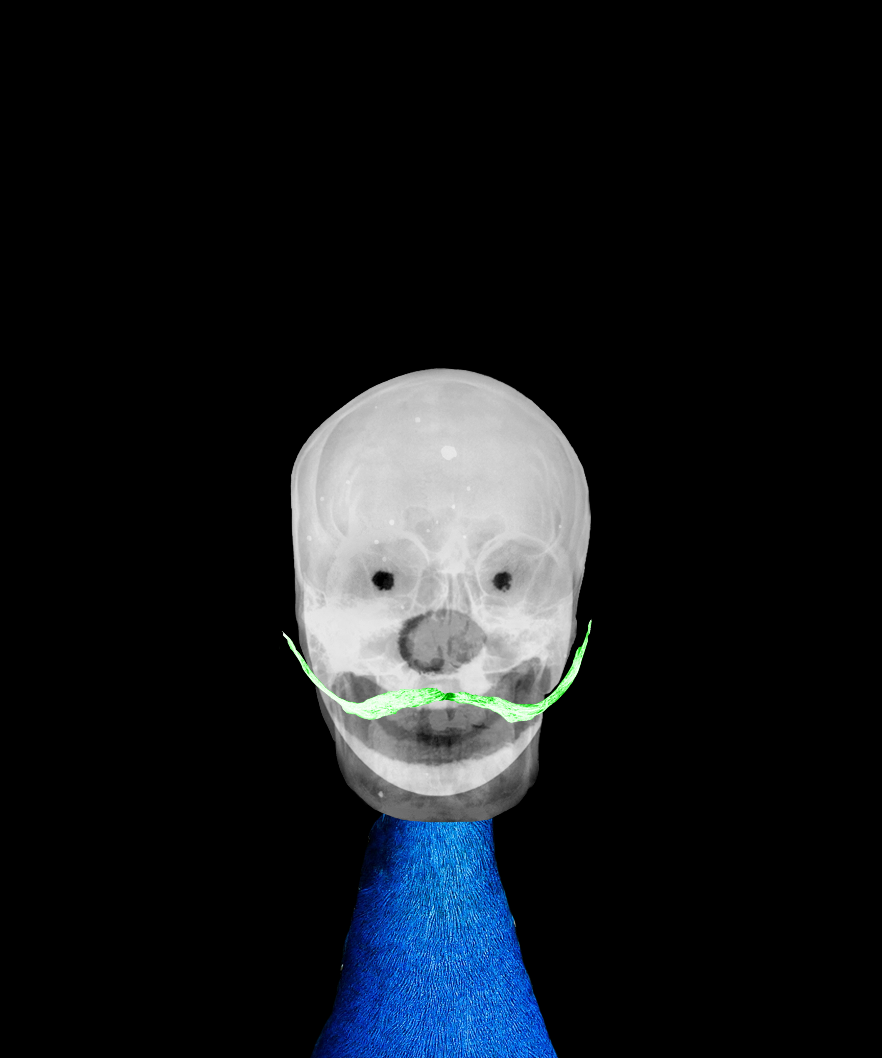 The Clown 1