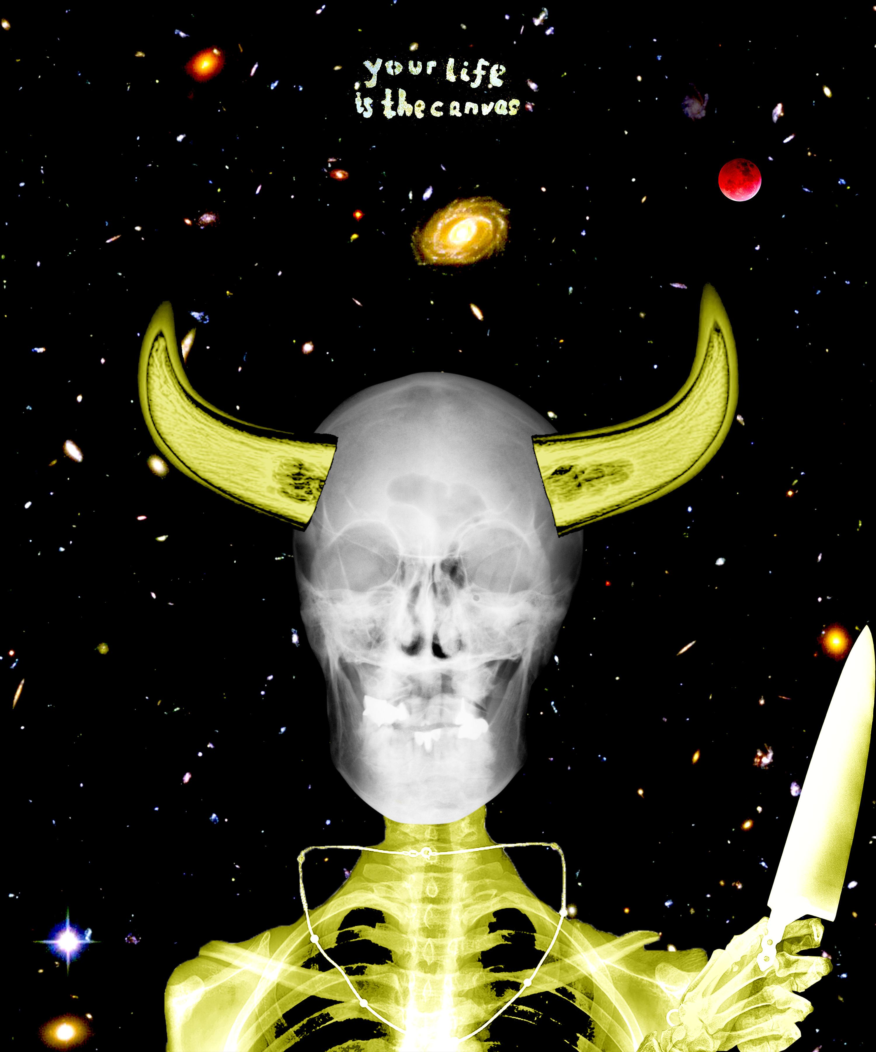 The Chameleon 1