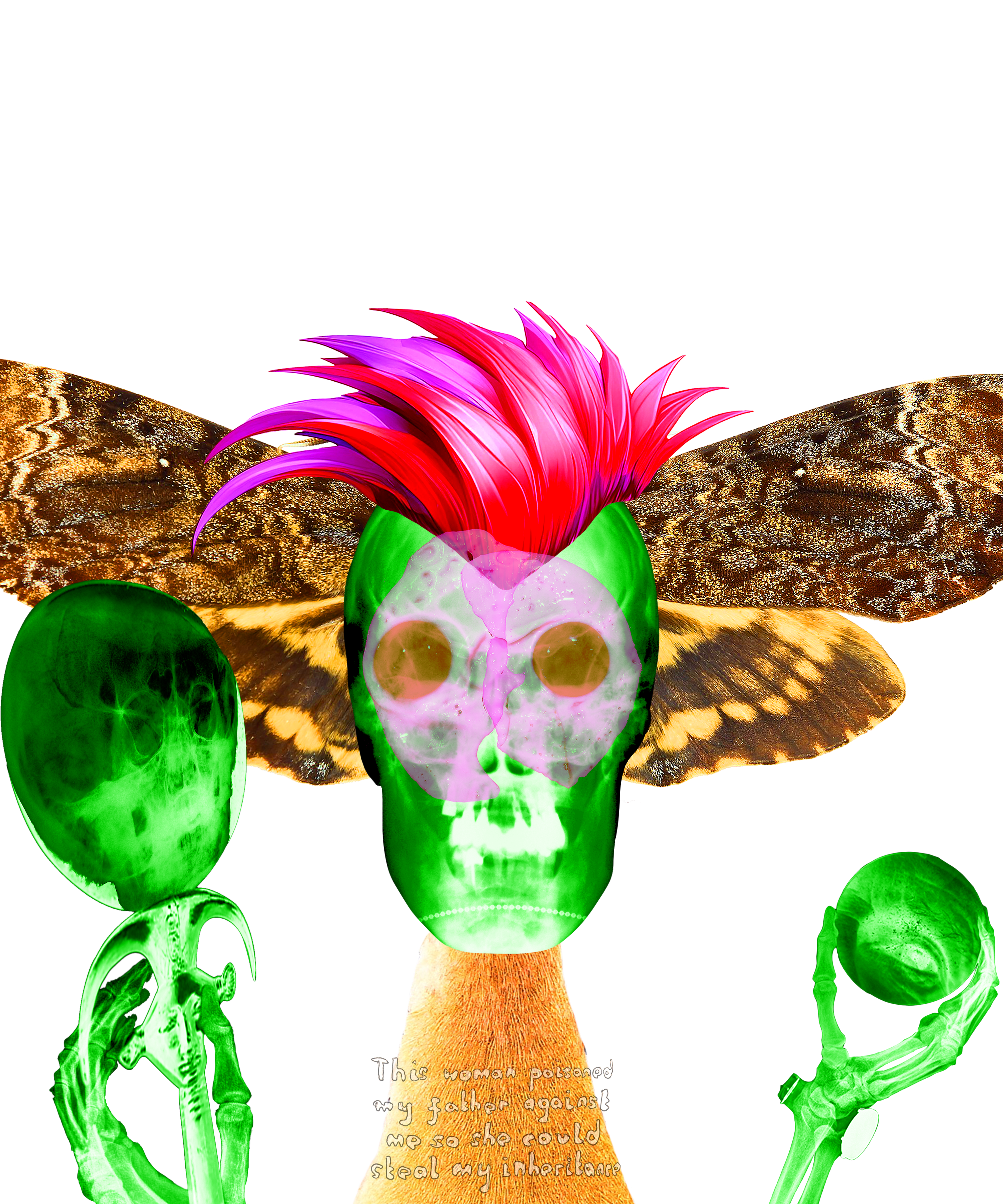 The Trickster 1