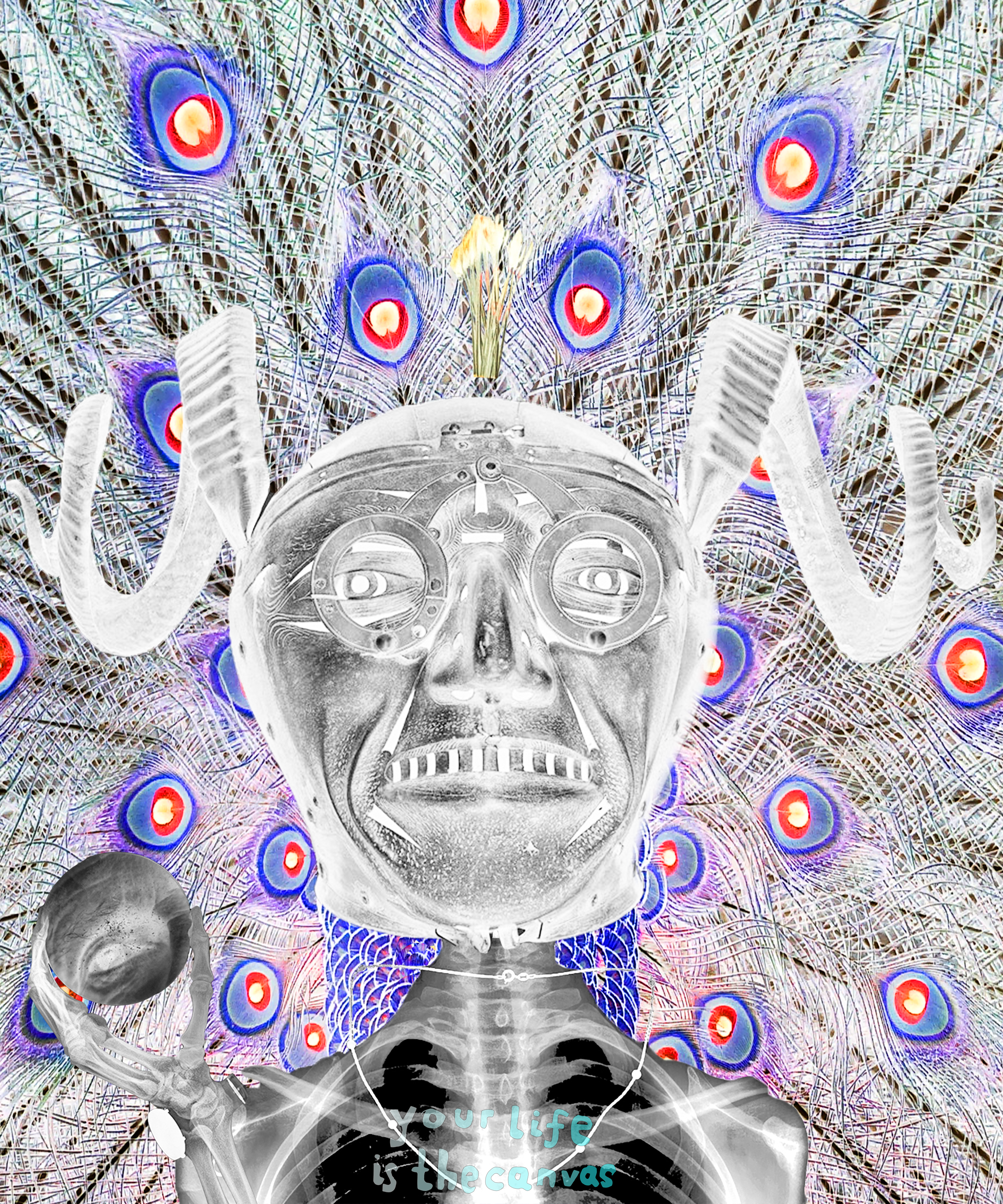 The Helmet 4