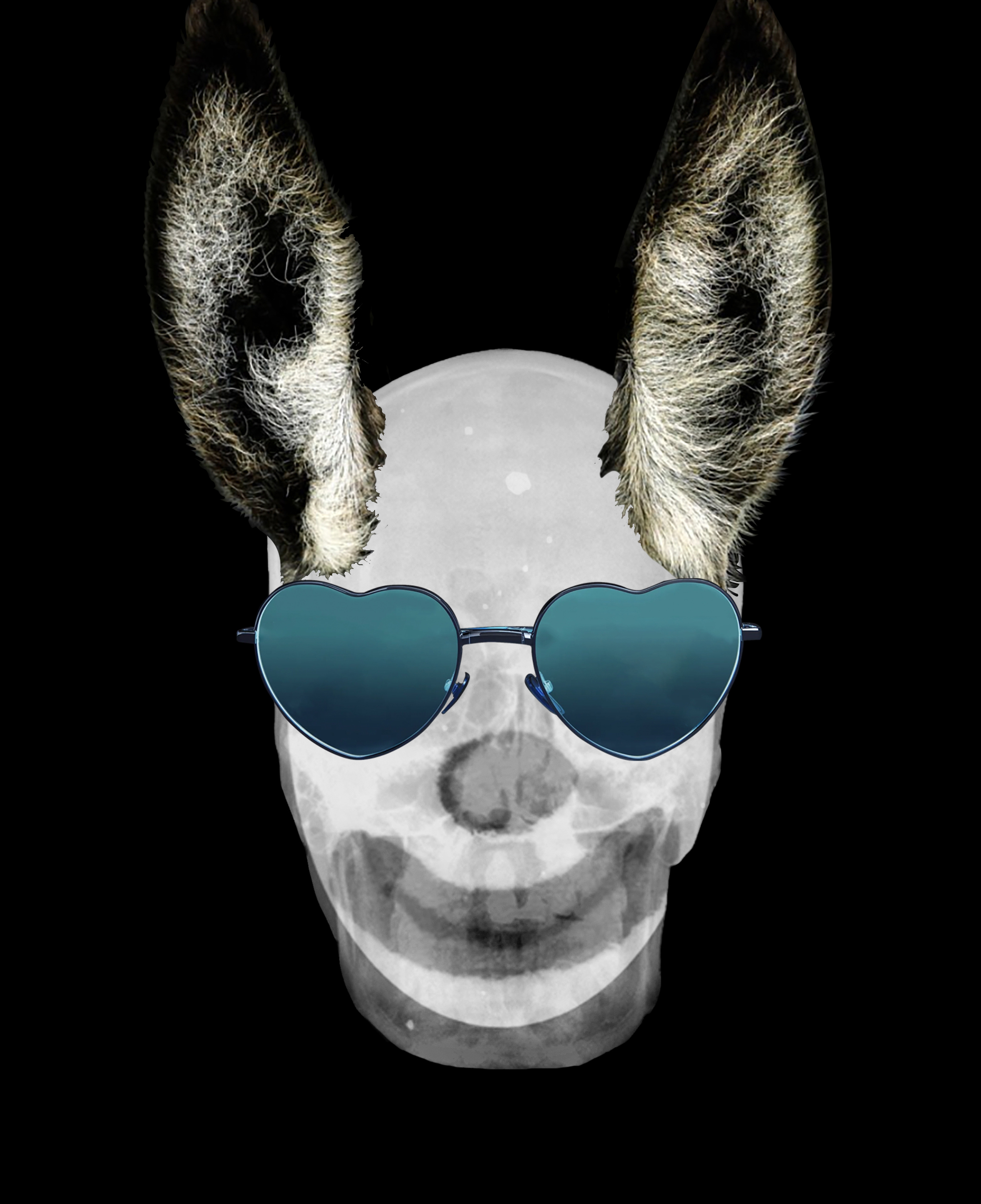 The Clown 8