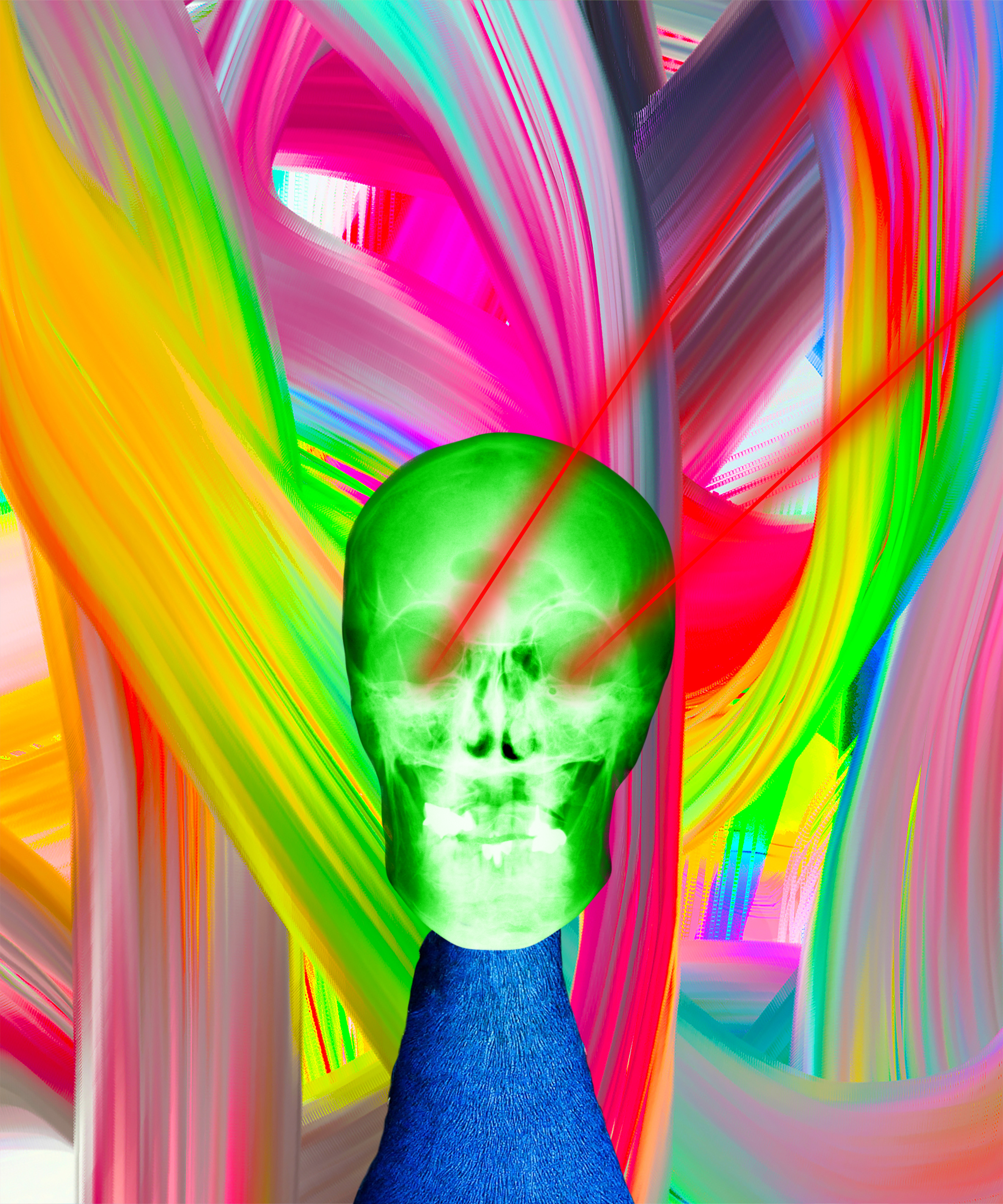 The Chameleon 3