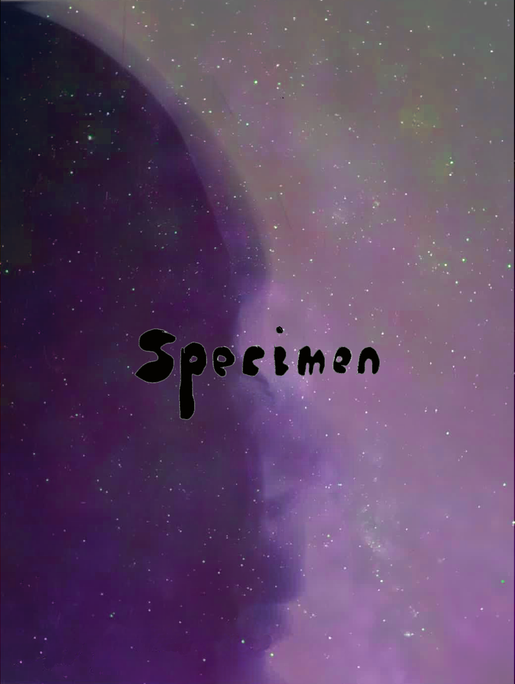 The Man of Destiny 2
