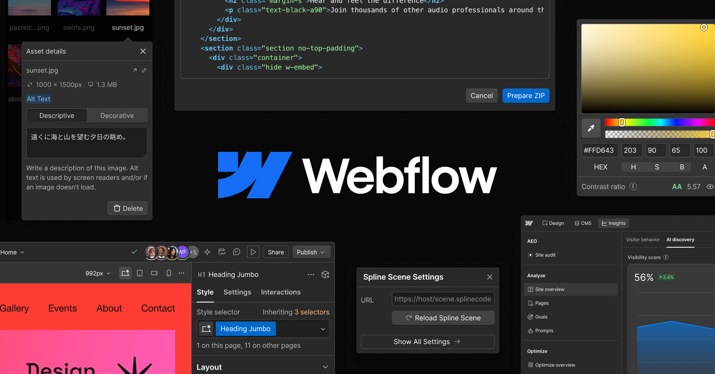 Webflow preview