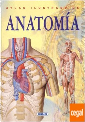 Anatomía
