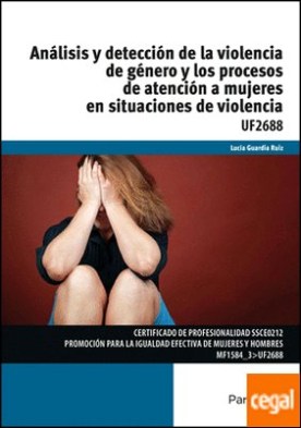 Análisis y detección de la violencia de género y los procesos de atención a mujeres en situaciones de violencia