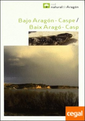 Bajo Aragón, Caspe/Baix Aragó, Casp . Incluya mapa, escala 1:125.000