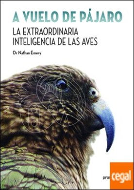 A vuelo de pájaro