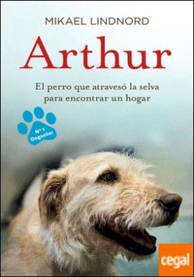 Arthur . El perro que atravesó la jungla para encontrar un hogar