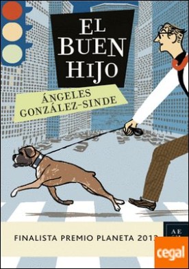 El buen hijo . Finalista premio planeta 2013