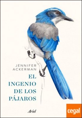 El ingenio de los pájaros