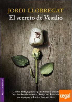 El secreto de Vesalio