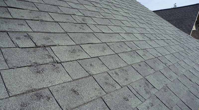 Your Guide to Filing a Roof Covering Insurance Insurance Claim in North Valley New Mexico