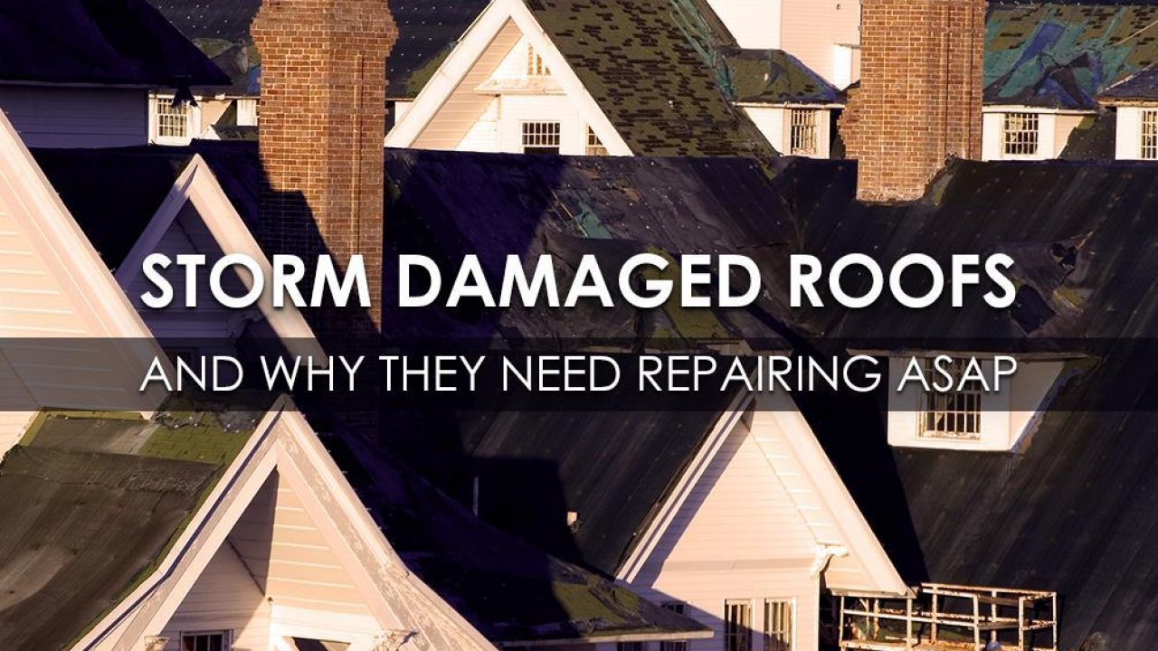 The 10 Best Local Roofers Near Me (with Free Estimates)