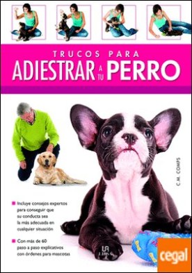 Trucos para Adiestrar a tu Perro