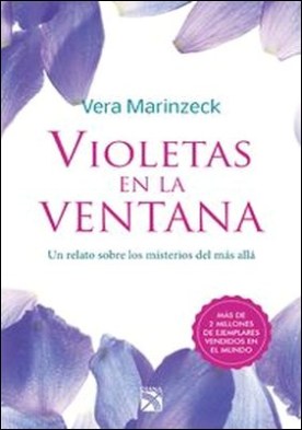 Violetas en la ventana