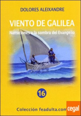 Viento de Galilea: narraciones a la sombra del evangelio