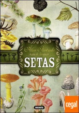 Setas