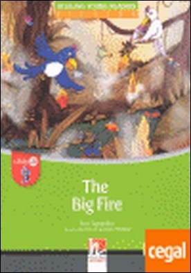 THE BIG FIRE + CD LEVEL A