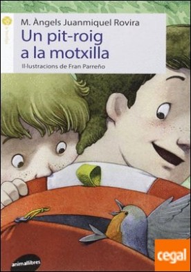 Un pit-roig a la motxilla