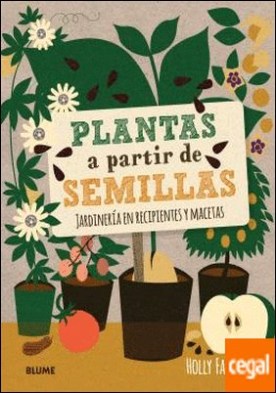 Plantas a partir de semillas . Jardinería en recipientes y macetas