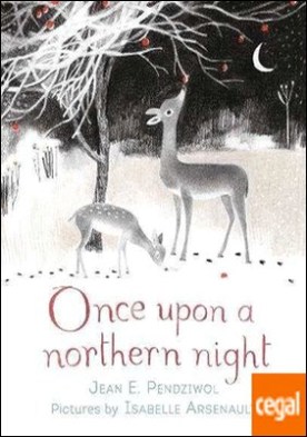 ONCE UPON A NORTHERN LIGHT