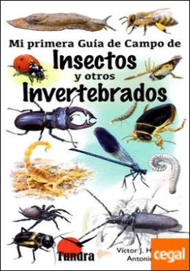 Mi primera guía de campo de insectos y otros invertebrados